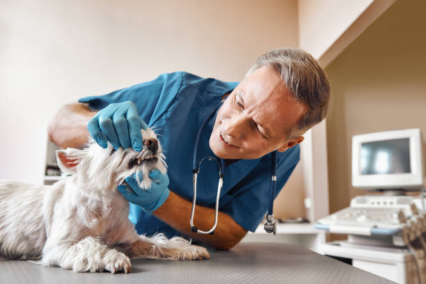 Best Weekend Emergency Dental Services in Dunmore, PA